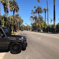 Отзыв от Александр - виза ДТВ